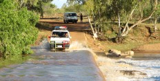 Les WHV en Road Trip