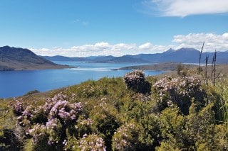 tasmanie-pedder-lake