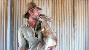 Chris Barnes Brolga kissing kangaroo