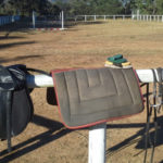 Travailler avec des chevaux en Australie 2