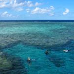 Grande barrière de corail excursions Snorkeling australie