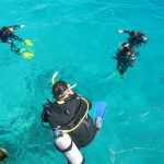 Grande barrière de corail australie excursions 2
