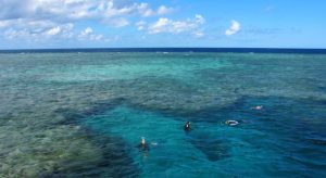 Grande barrière de corail australie excursions Snorkeling choisir