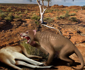 Lion Marsupial Australie Géant mega faune