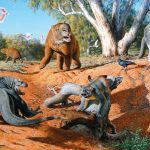 Megafauna australia