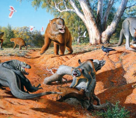 Mega fauna australia giants animals