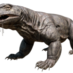 Varan géant Australie