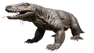 Varan géant Australie Mega faune