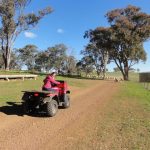 Quad Elevage moutons australie job