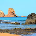 visiter Philip Island Australie
