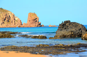 visiter Philip Island Australie Victoria