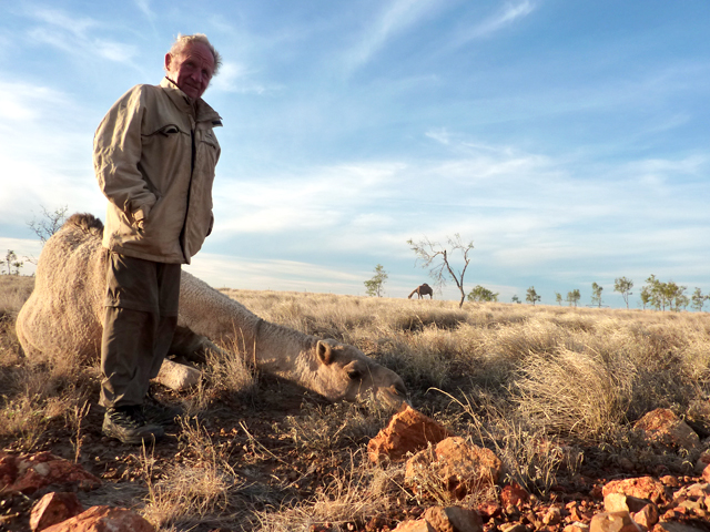 Homme dromadaires outback Australie