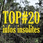 TOP 20 infos insolites Australie