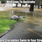 Via Facebook MeanwhileInAustralia