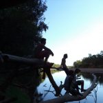 intothewild2