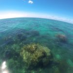 Job Cairns Australie Moniteur plongée