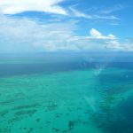 Job Cairns Australie Moniteur plongée