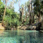 Mataranka Thermal Springs