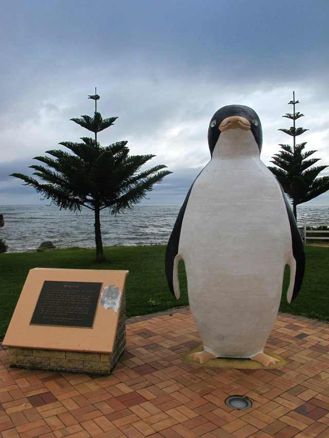 Pinguouin Tasmanie Burnie