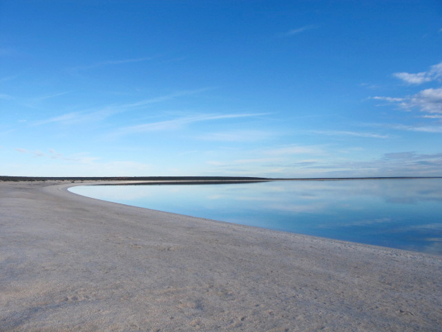 Shell Beach Shark Bay Australia