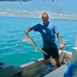 Requin australie bateau job