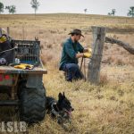 Travailler dans un ranch Australie