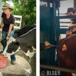 Job stationhand ranch Australie