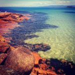 Coles Bay, Freycinet National Park