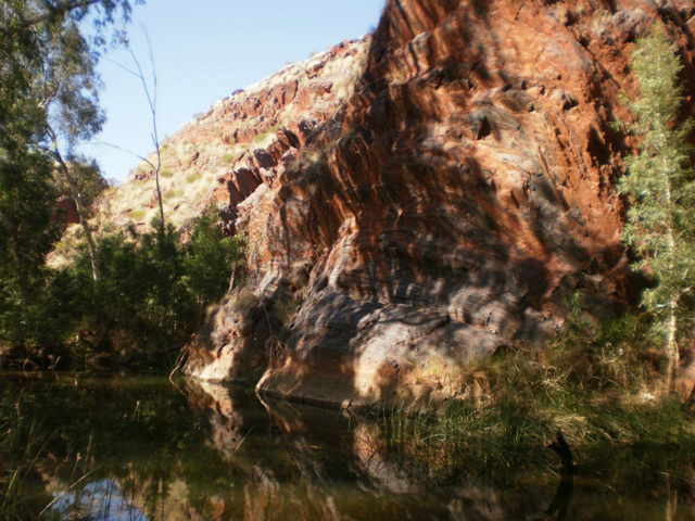 Lézarrd pilbara Australie