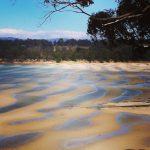 Lime Bay, Péninsule de Tasman