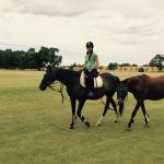 Travailler chevaux australie 7