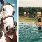 Travailler chevaux australie 8