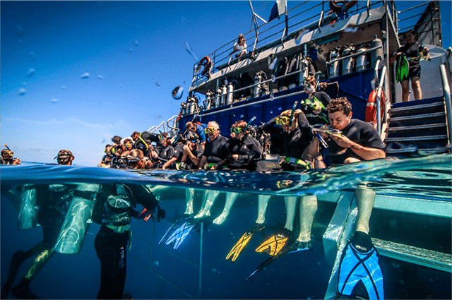 excursion barriere corail reef snorkeling plongee