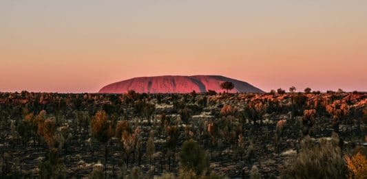 Les meilleurs spots du Territoire du Nord en Australie