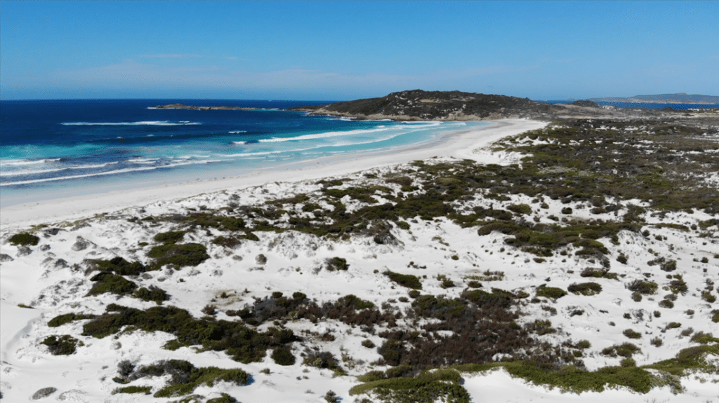 plage de lucky bay en Western Australia, une plage ou vous pouvez voir des kangourous sur le sable blanc