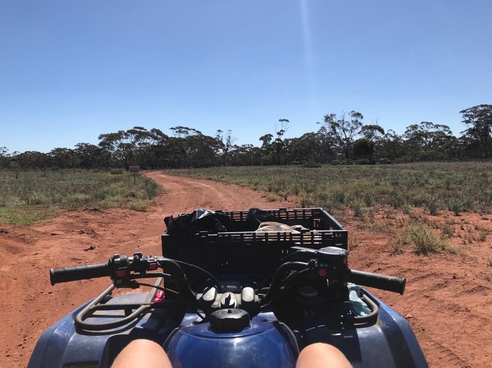 travailler dans une road house en australie