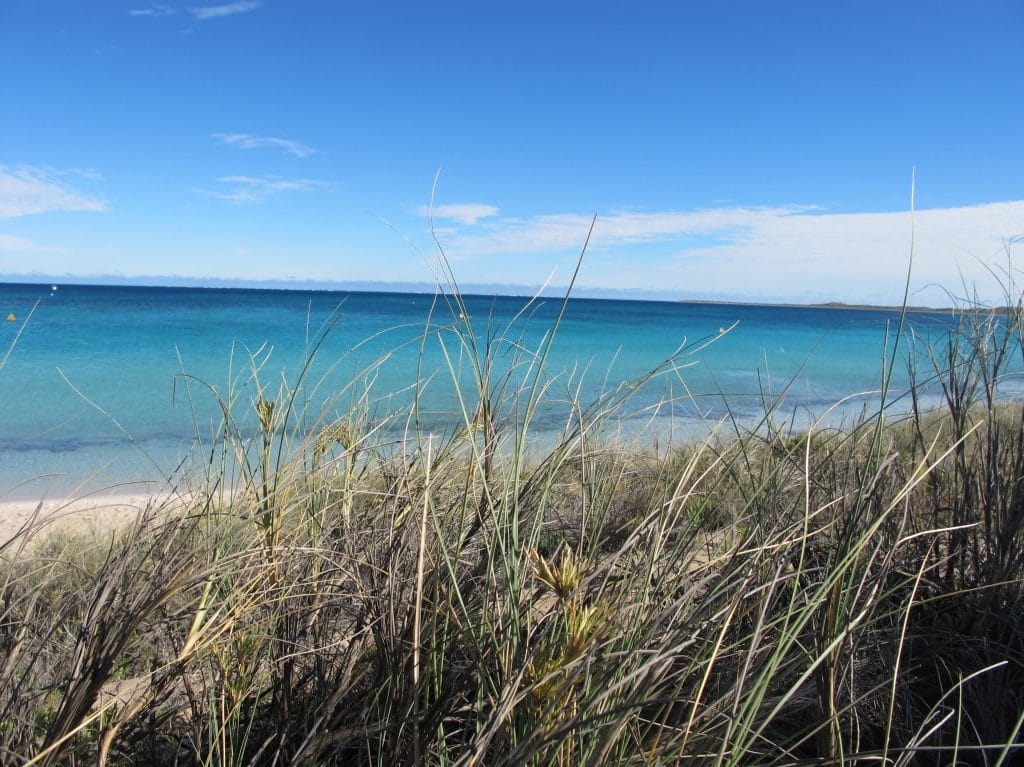 Coral Coast 6