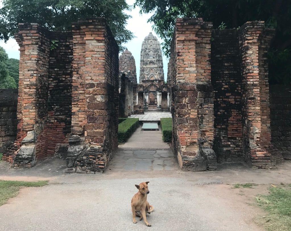 voyager en thailande, découverte des temples