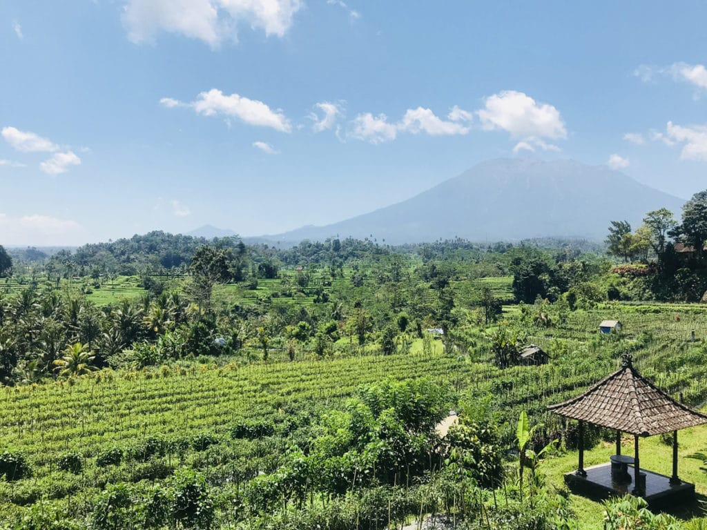 comment se déplacer à Bali 