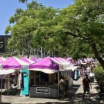 6 – THE COLLECTIVE MARKET