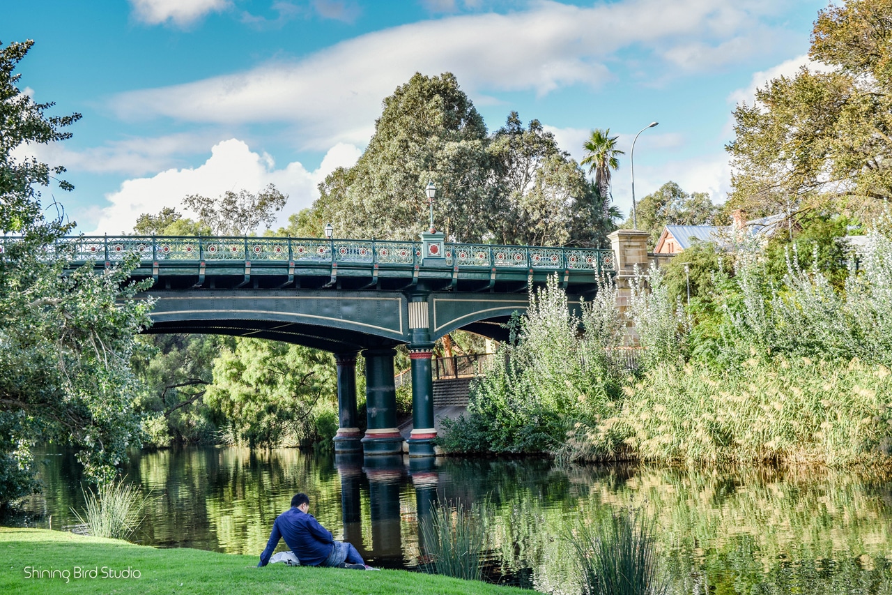 Adelaide Torrens River