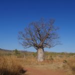 Kimberley Australie