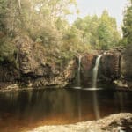 pencil pine falls