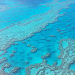 Grande barriere corail australie qld