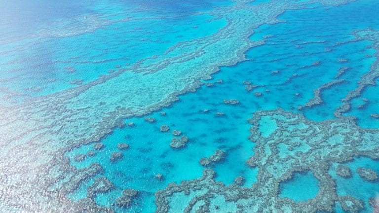 La Grande Barrière de Corail en Australie