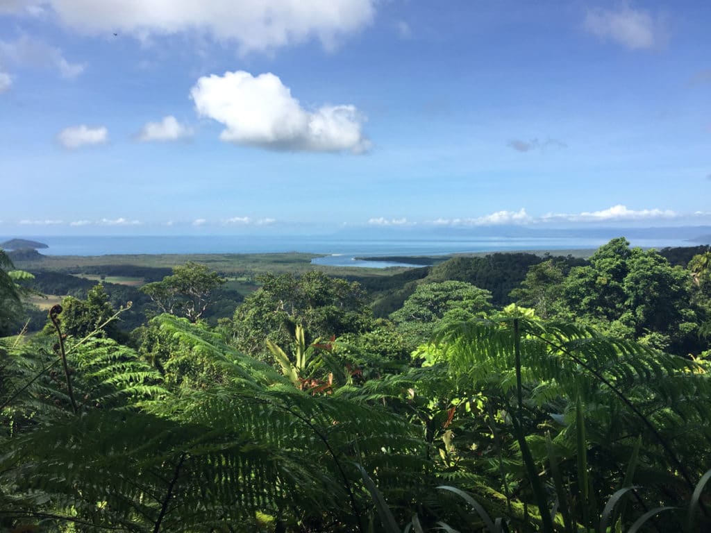 Daintree River