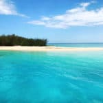 Frankland Islands 2
