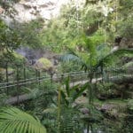 Springbrook
