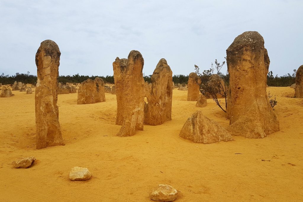 Pinnacles - Côte Ouest Australie
