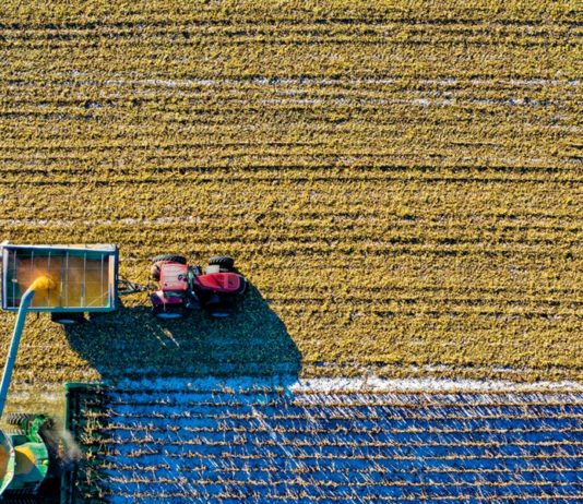 Emplois éligibles pour renouveler le WHV / PVT en Australie